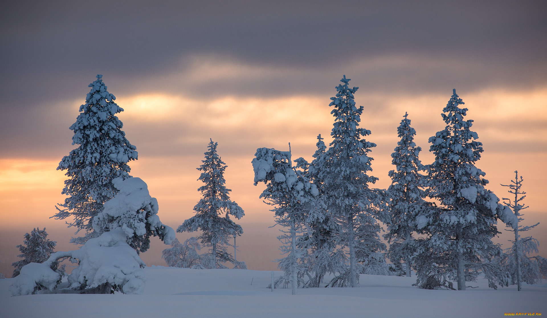 , , finland, lapland, , , , 